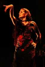 Ana Sojor y Compania