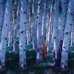 Pittsburgh Symphony Orchestra