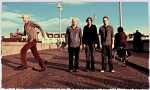 The Pineapple Thief