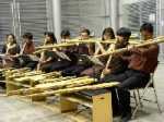 Orquesta Experimental de Instrumentos Nativos