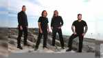 CATTLE DECAPITATION