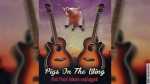 Pigs on the Wings
