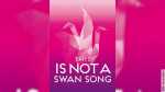 This Is Not A Swansong
