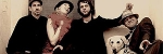 Mr. Barkwell & the tasty bones