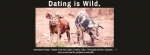 Dating is Wild