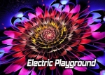 Electric Playground
