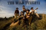 The Wild Turkeys