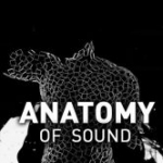 Anatomy of Sound