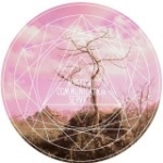 Mystical Communication Service