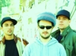 MONKEY MOB