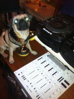 Lustiges Mukke Raten