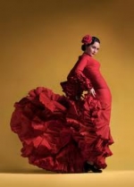 Flamenco Festival