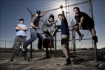 Zebrahead