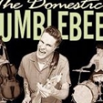 The Domestic Bumblebees