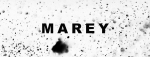 MAREY