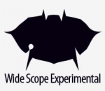 Wide Scope Experimental DJ Team