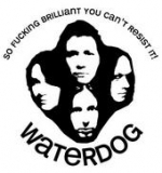 Waterdog